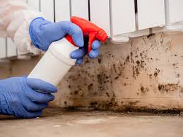 Mold Removal for HVAC Installations in Savannah, MO